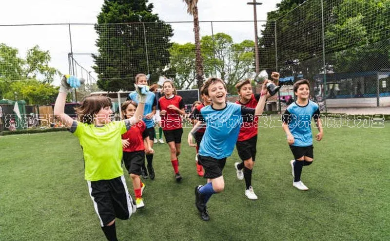 乐玩(乐玩)国际引力传媒揭秘最强足球运动员：精美插画带你感受足球界的巅峰力量