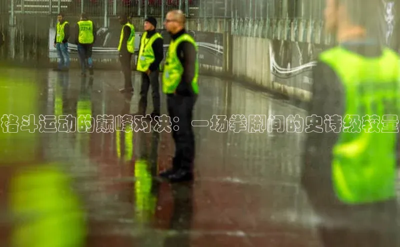 乐玩国际观星盘格斗运动的巅峰对决：一场拳脚间的史诗级较量