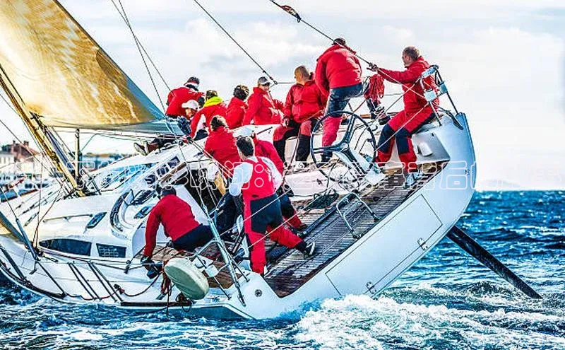 镜头下的精彩瞬间：运动赛事背后的故事