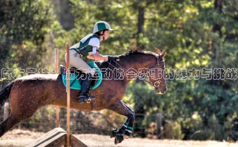 魔方竞技：魔方运动协会赛事的魅力与挑战