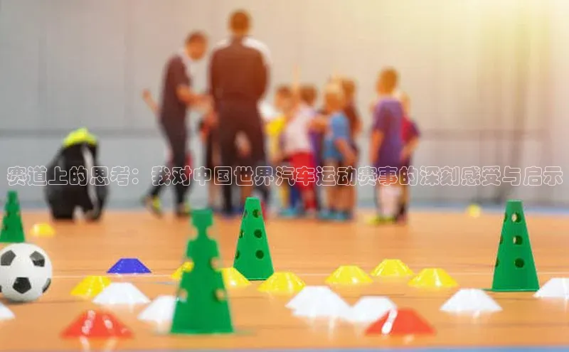 赛道上的思考：我对中国世界汽车运动赛事的深刻感受与启示