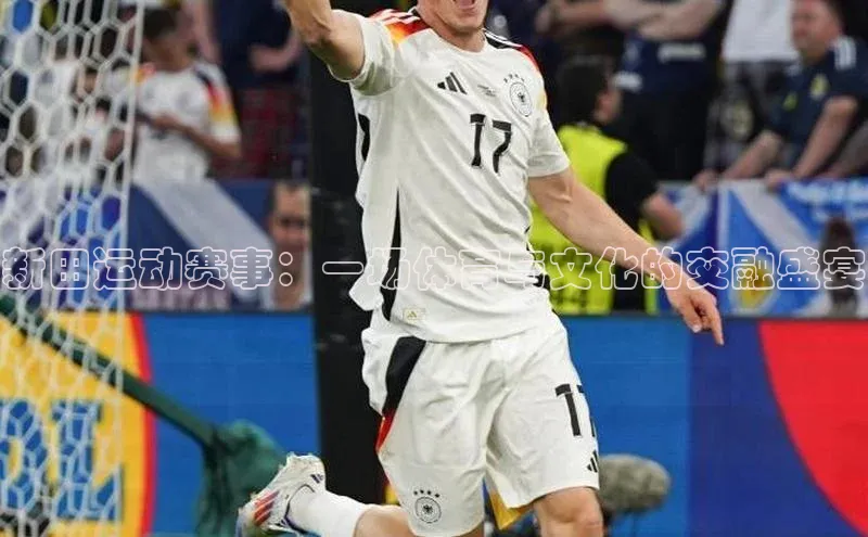 新田运动赛事：一场体育与文化的交融盛宴