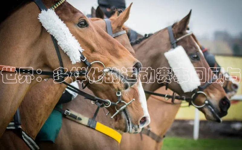 世界：多样化的运动赛事回顾与