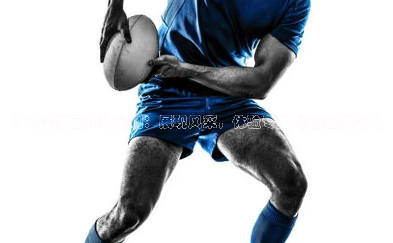 乐玩国际登录入口