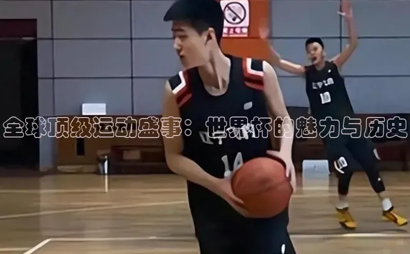 乐玩app官网入口